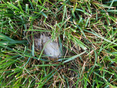 20190902_074442.jpg