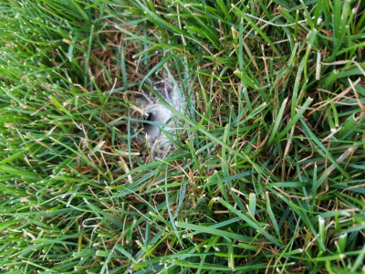 20190902_074403.jpg