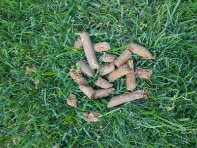 20190904_164247.jpg