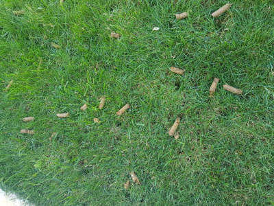 20190904_164302.jpg