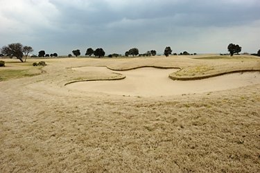jaunissemnt cynodon en hiver.jpg