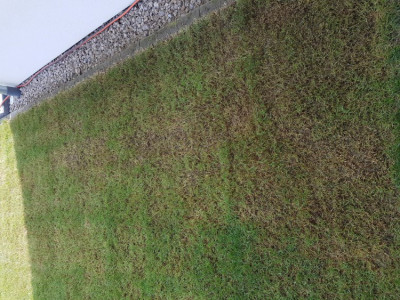 20190907_153714.jpg