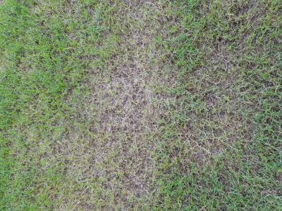 20190910_174408.jpg