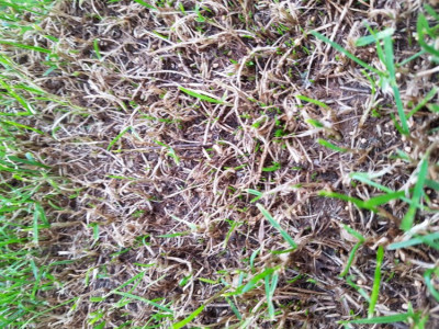 20190912_193633.jpg