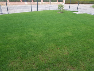 20190912_193702.jpg