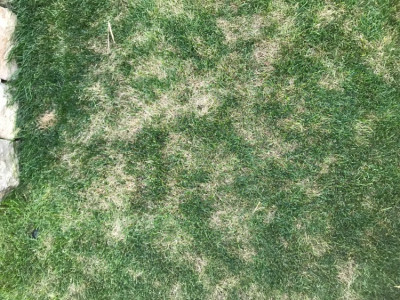 image2-2.jpeg