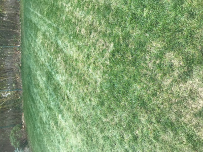 image4-2.jpeg