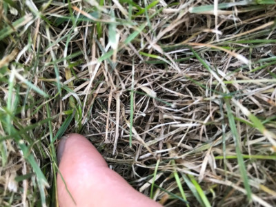 image1-2.jpeg