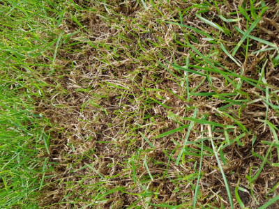 20190914_104559.jpg