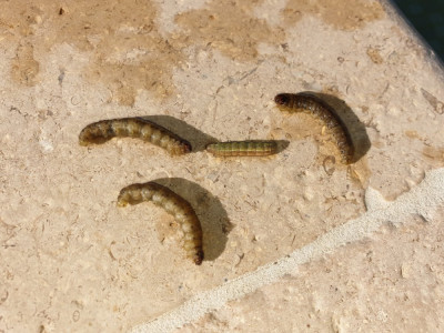 20190915_094901.jpg