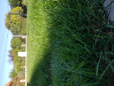 20190918_172143.jpg