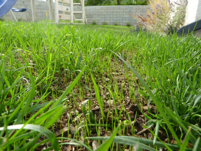 P1070079.JPG