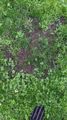 IMG_20190925_194008.jpg