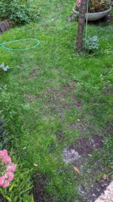 IMG_20190925_194039.jpg