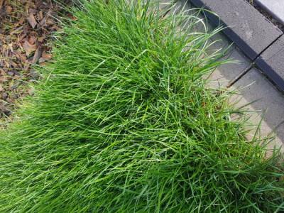 20190927_165431.jpg