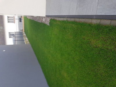 20190927_165407.jpg