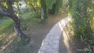 IMG_20190912_185558.jpg
