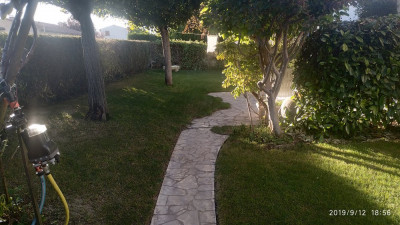 IMG_20190912_185635.jpg
