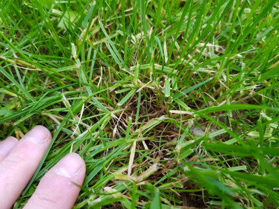20191019_182436.jpg