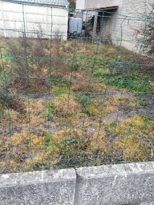 PART_1541328272363.jpg