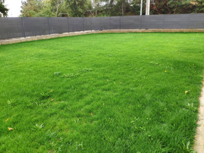 IMG-20191023-103837.jpg