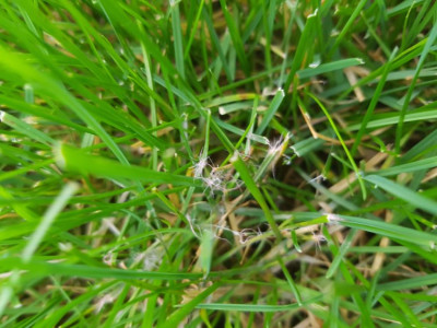 20191023_174359.jpg