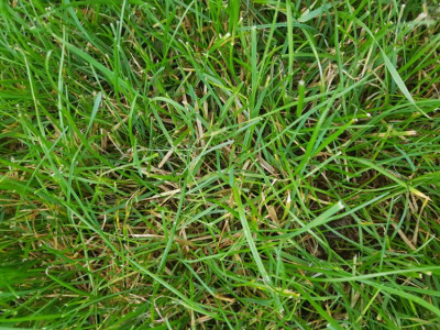 20191023_174440.jpg