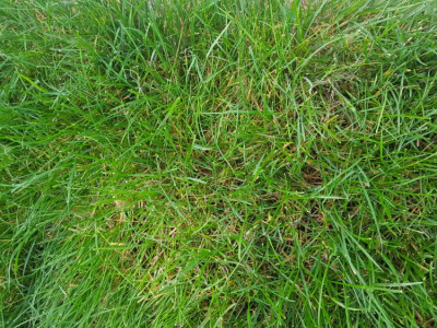 20191023_174431.jpg