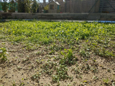 IMG_20191027_114618.jpg