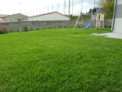 P1070263.JPG