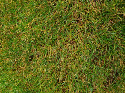 20191101_134355.jpg