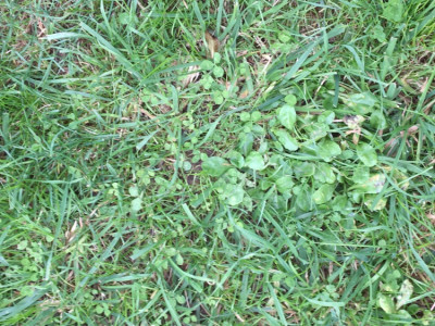 D4189247-37C5-4007-A184-7FEF89DBCA72.jpeg