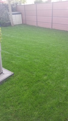 20160427_1918001.jpg
