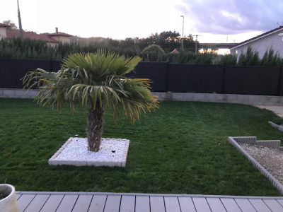 6C30D25F-2214-4D39-BE82-027040F3D6C7.jpeg