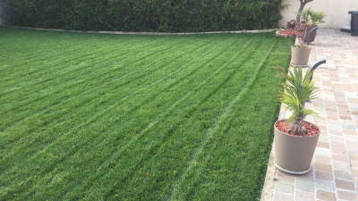 gazon jardin vue 3