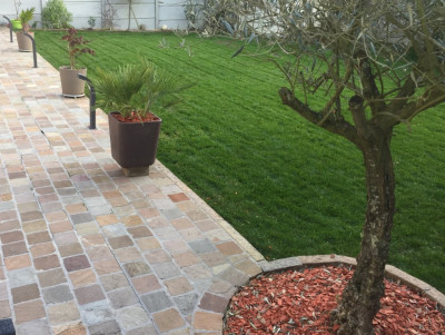 gazon jardin vue 2
