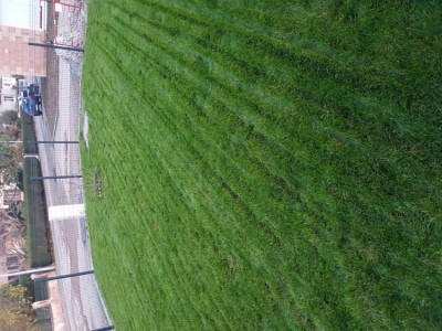 20191122_165034.jpg