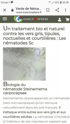 Connais tu ???