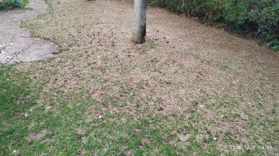 IMG_20191209_145519.jpg