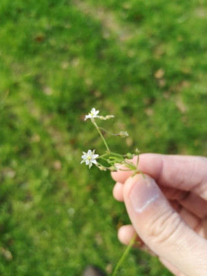 image-d6c446ca-834b-4773-9242-8592605fa93a7487266287869685791_resized_20191219_055334650.jpg