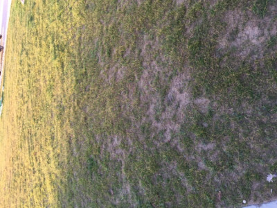 DDC44818-F8DB-4667-819E-6B75EA59EA38.jpeg