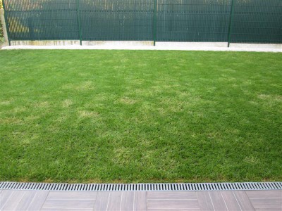 01 MAI 16 APRES SCARIFICATION 2