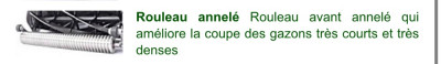 Rouleau annelé