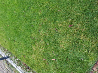 20200202_164535.jpg