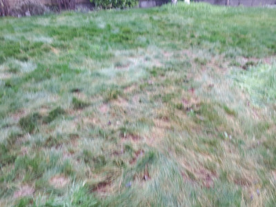 20200203_113401.jpg