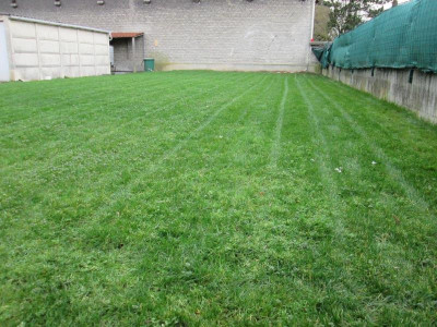 mini_IMG_5124.JPG