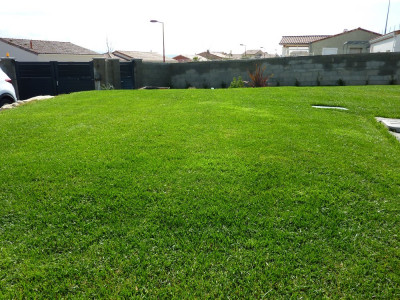 P1070343.JPG