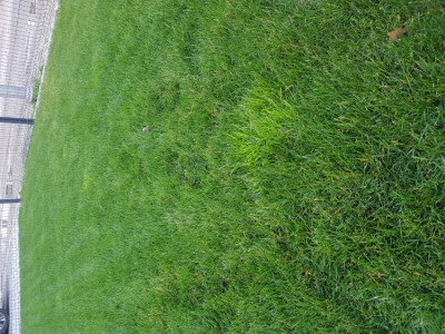 20200304_173543.jpg