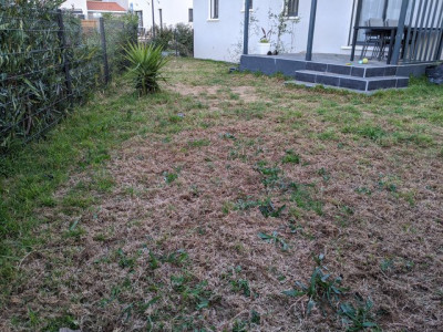 IMG-20200301-183447.jpg