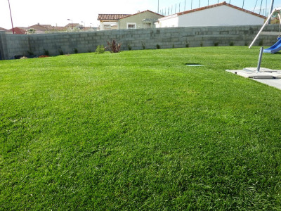 P1070352.JPG